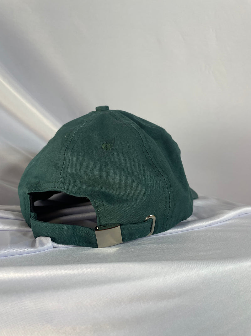 Bone  VERDE Dad-Hat